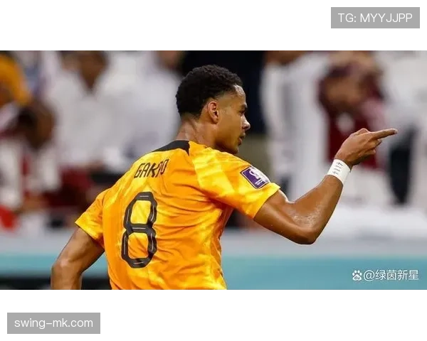 加克波逐步成为足坛新星,展现潜力状态持续提升 加克波逐步成为足坛新星,展现潜力状态持续提升