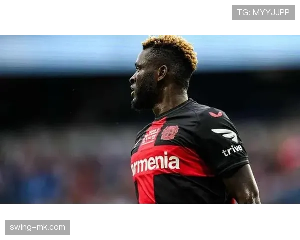 博尼法斯如何以力量型中锋模板撕裂防线